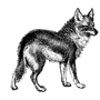 deadsdorithau1983 profile