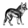 arliebarry495 profile image