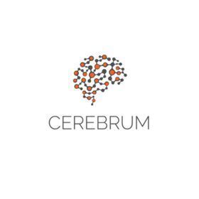 Cerebrum Digital profile picture