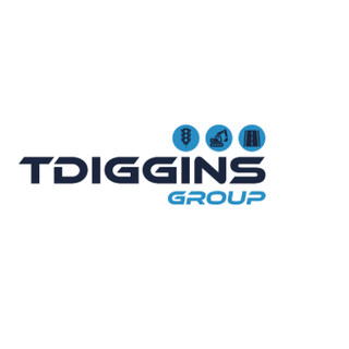 T diggins Group profile picture