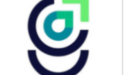 Cover image for Expert SEO Audit Company – Growth Vive Solutions
