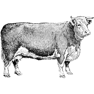 Finance service profile picture