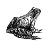 expressroute profile image