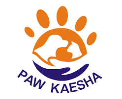 Cover image for pet food in Dubai