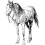 brainboxstudy profile