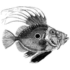 hancockfletcher302 profile image