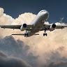Airline office Detail profile picture