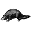 calvincarey412 profile image
