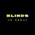 Blindsin dubai