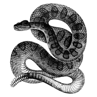 Legras profile picture