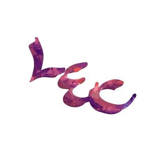 Life Enhancement Coaching profile picture