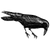 wexawak141