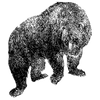 rishuecom profile image