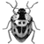 talhalogical