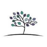 My Spring Family Dental  profile picture