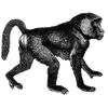 kevinrory profile image