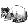 jamesstewa458 profile image