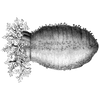 remde profile image