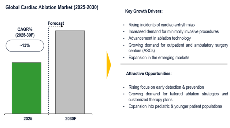 Cover image for Global Cardiac Ablation Market: Advancements in Minimally Invasive Procedures and 13% CAGR by 2030