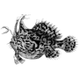 keyjeccosa1973 profile