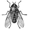 officialnada022 profile image
