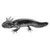 dharani profile image