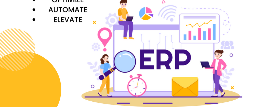 Cover image for Components of ERP systems