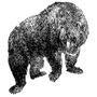 rishuecom profile