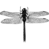 jamescampos270 profile image