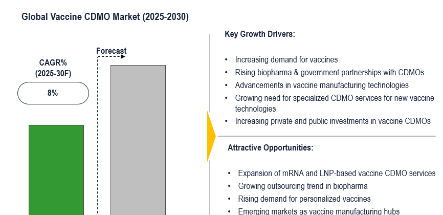 Cover image for Vaccine CDMO Market Growth to Hit 8% CAGR Through Process Optimization and AI Adoption by 2030