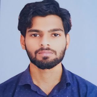 Nikki Chauhan profile picture