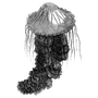 profnamiphi1971 profile