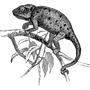 aljupustfrom1973 profile