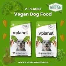 Cover image for best dog food for dogs dubai