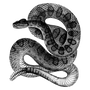 antobima1972 profile