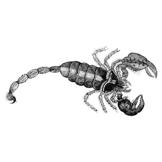 Zordex profile picture