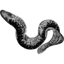 leitercuefac1985 profile