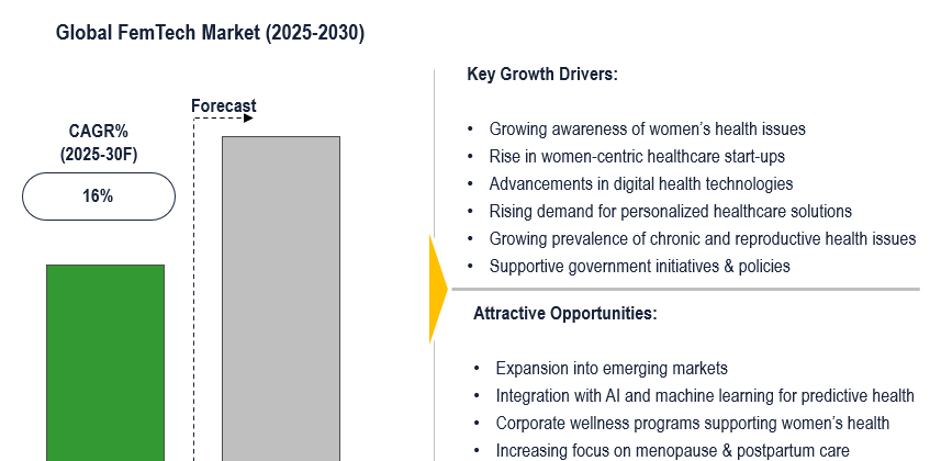 Cover image for FemTech Market Poised for 16% CAGR Growth with Advancements in Wearable Health Tech by 2030