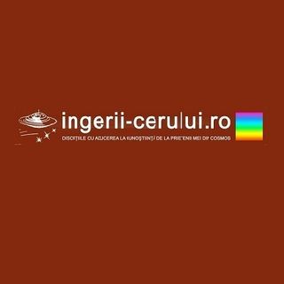 ingerii-cerului profile picture