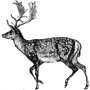 ycesgoheb1987 profile