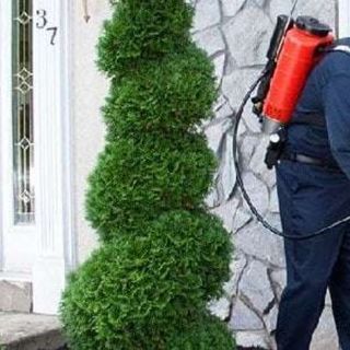 Pest Control Perth profile picture