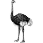 tiojanudde1982 profile