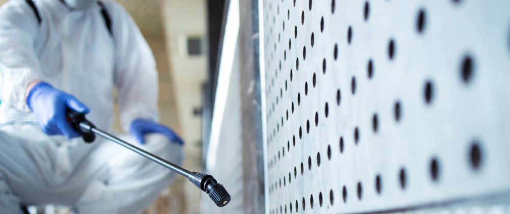 Cover image for Animal Disinfectants Market: Trends, Growth Drivers, and Forecast (2022-2032)