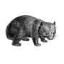 rafaelbeaver profile