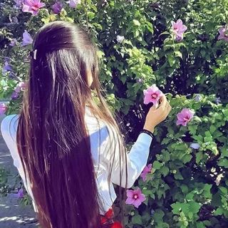 Aarika Jain profile picture