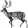 georgebrian377 profile image