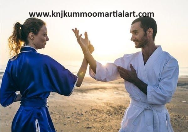 Cover image for Hapkido korean martial arts