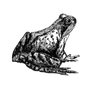 tinsakiminel profile