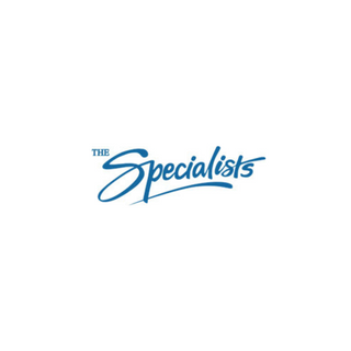 The Specialists Auto Tint profile picture