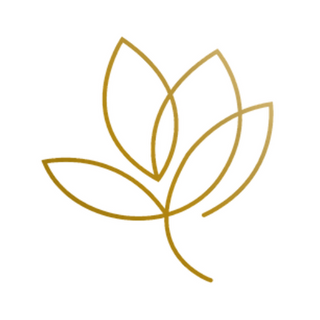 Whole Person Consulting LLC profile picture